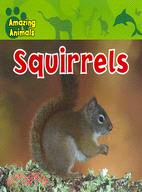 Squirrels