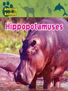 Hippopotamuses