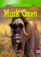 Musk Oxen