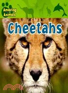 Cheetahs