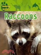 Raccoons