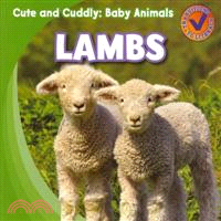 Lambs