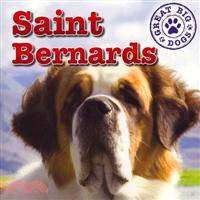 Saint Bernards