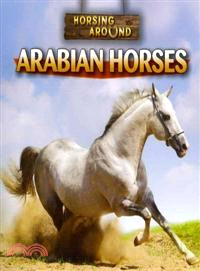 Arabian Horses