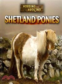 Shetland Ponies