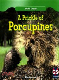 A Prickle of Porcupines