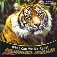 What Can We Do About Endangered Animals?