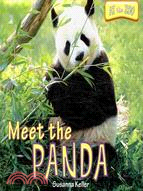 Meet the Panda