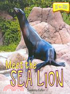 Meet the Sea Lion