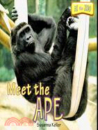 Meet the Ape