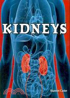 Kidneys