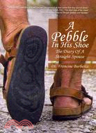 A Pebble in His Shoe ─ The Diary of a Straight Spouse