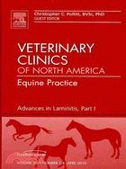 Advances in Laminitis