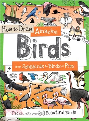 How to Draw Amazing Birds ─ From Songbirds to Birds of Prey