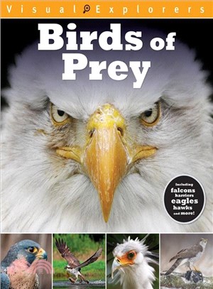 Birds of Prey