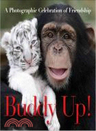 Buddy Up!