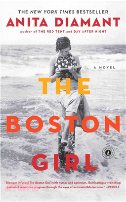 The Boston girl :a novel /