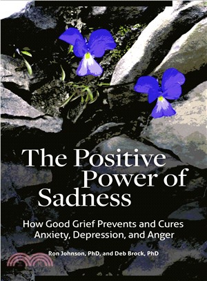 The positive power of sadnesshow good grief prevents and cures anxiety, depression, and anger /