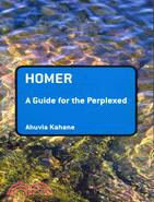 Homer ─ A Guide for the Perplexed