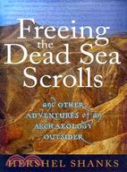 Freeing the Dead Sea Scrolls:And Other Adventures of an Archaeology Outsider