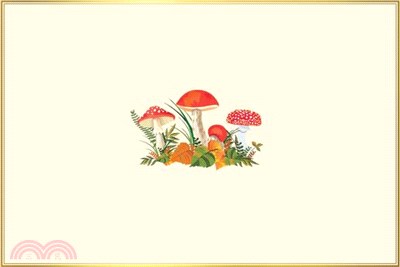 Mushrooms Note Cards
