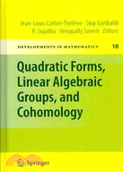 Quadratic Forms, Linear Algebraic Groups, and Cohomology