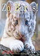 Zooborns! ─ Zoo Babies from Around the World
