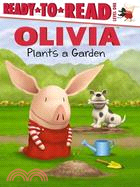 Olivia plants a garden /