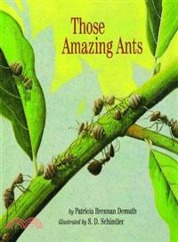 Those Amazing Ants