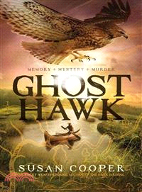 Ghost Hawk /