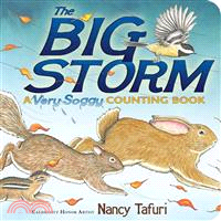 The Big Storm ─ A Very Soggy Counting Book