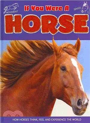 If You Were A: Horse