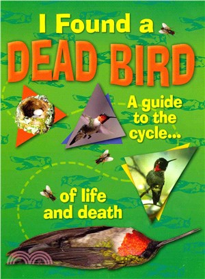 I Found A Dead Bird - A guide to the cycle of life and death