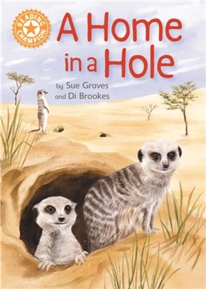 Reading Champion: A Home in a Hole：Independent Reading Orange 6 Non-fiction