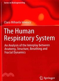 The Human Respiratory System ― An Analysis of the Interplay Between Anatomical Structure and Breathing Dynamics