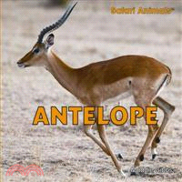 Antelope