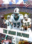 The Miami Dolphins