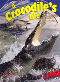 A Crocodile's Life