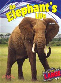 An Elephant's Life