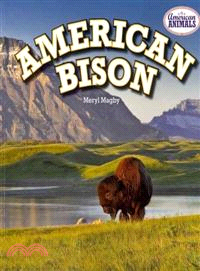 American Bison