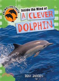 Inside the Mind of a Clever Dolphin