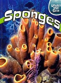 Sponges