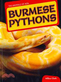 Burmese Pythons