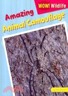 Amazing Animal Camouflage