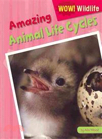 Amazing Animal Life Cycles