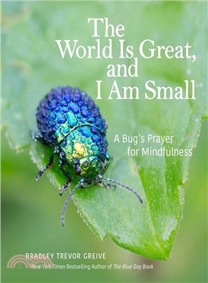 The World Is Great, and I Am Small ─ A Bug's Prayer for Mindfulness