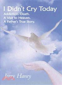 I Didn't Cry Today ─ Addiction. Death. a Visit to Heaven. a Father's True Story