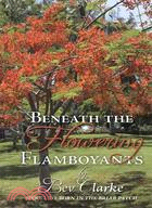 Beneath the Flowering Flamboyants