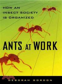 Ants at Work