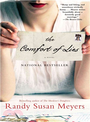 The comfort of lies :a novel...